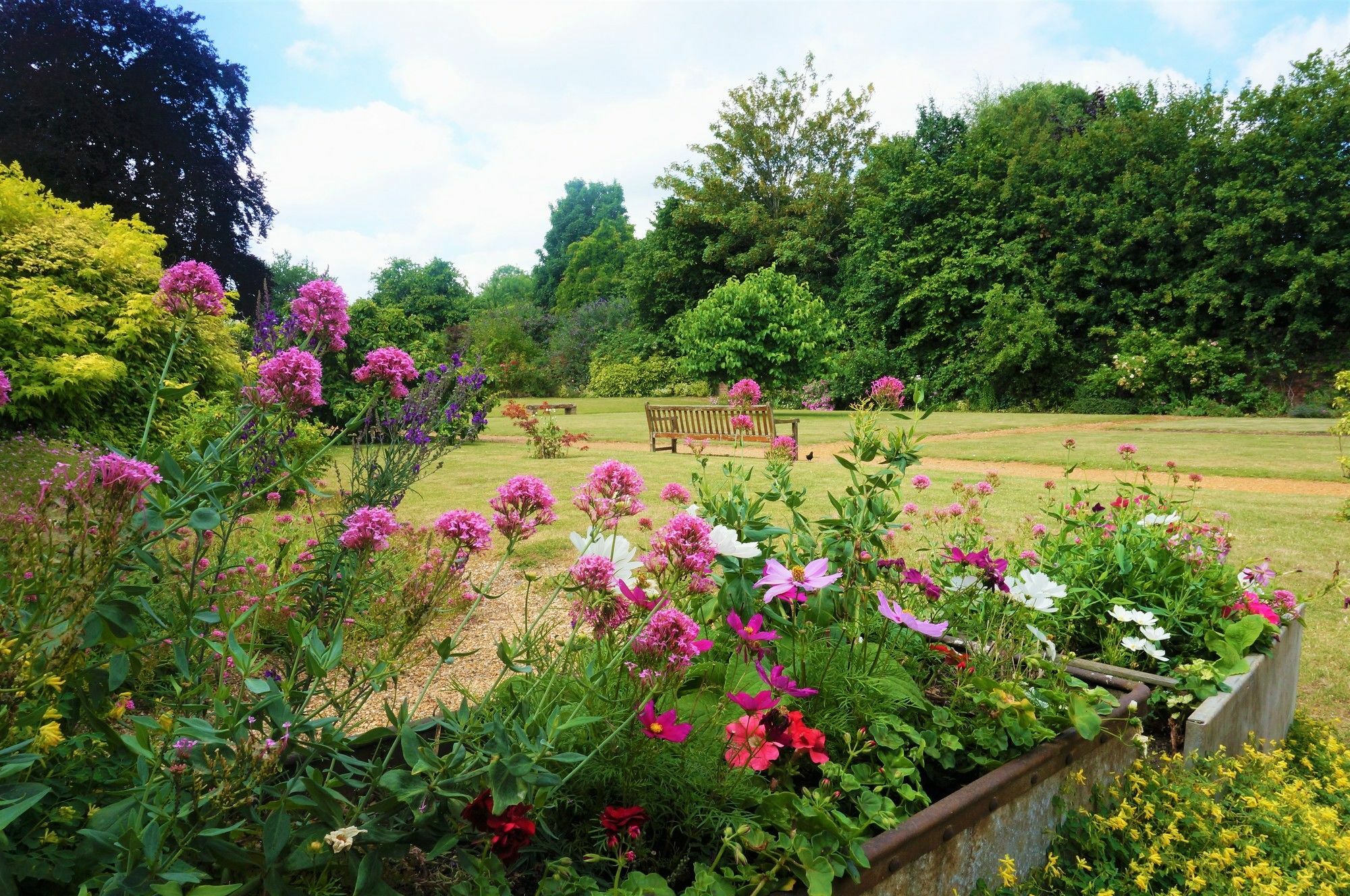 Greyfriars Lodge แคนเทอร์เบอรี ภายนอก รูปภาพ